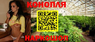 гашик Волгодонск