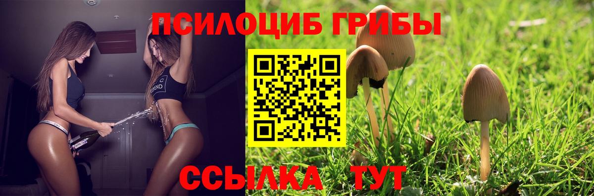 Курск  Псилоцибиновые грибы ЛСД  Вход с VPN  Псилоцибиновые грибы GOLDEN TEACHER 